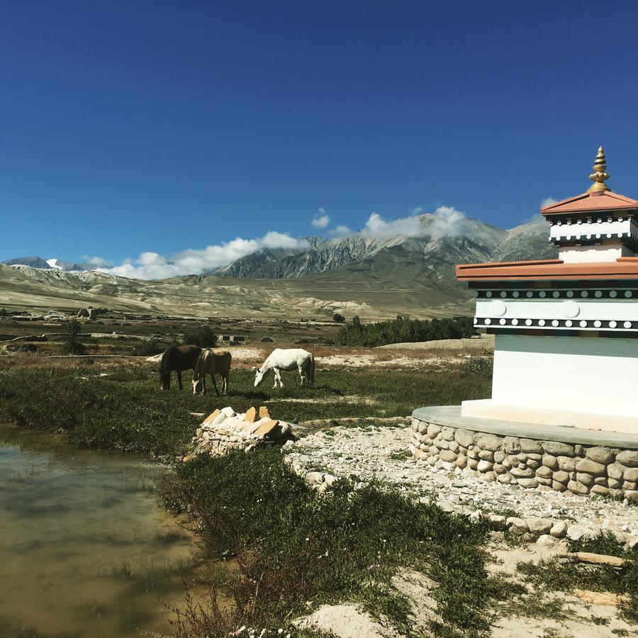 Royal Mustang Resort Nāmbo Екстериор снимка